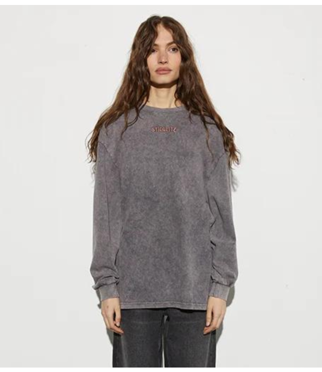 Stieglitz Top Worn Out Skate Longsleeve washed grey