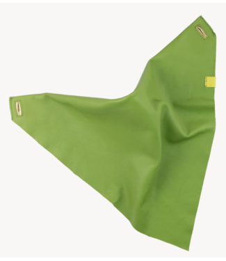 Slingher Sjaal Canal Washabi Green