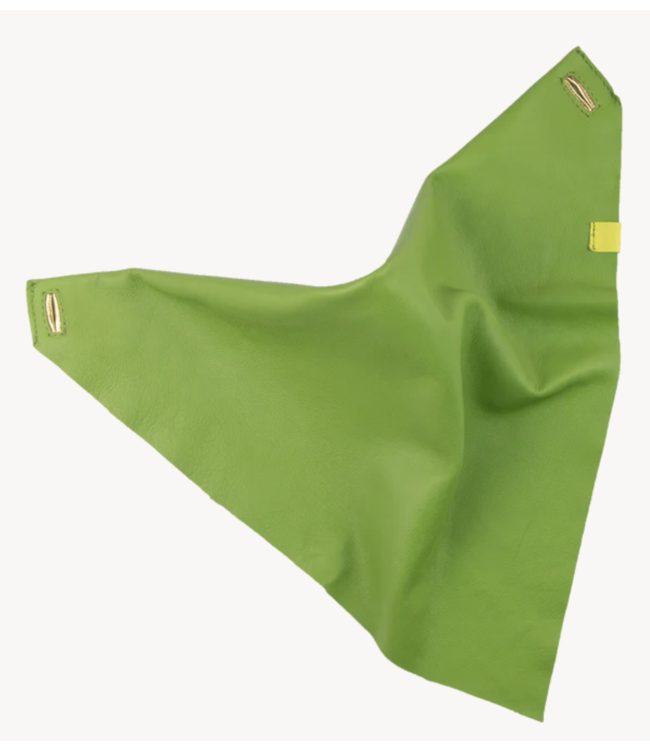 Slingher Sjaal Canal Washabi Green