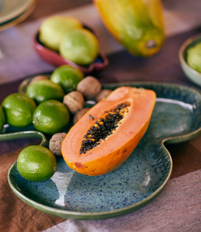 HKLIVING Schaal Shell plate teal