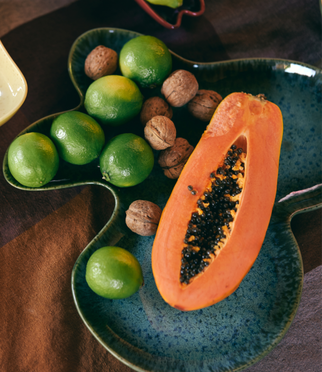 HKLIVING Schaal Shell plate teal