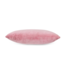 HKLIVING Kussen Velvet cushion rose (60x40cm)