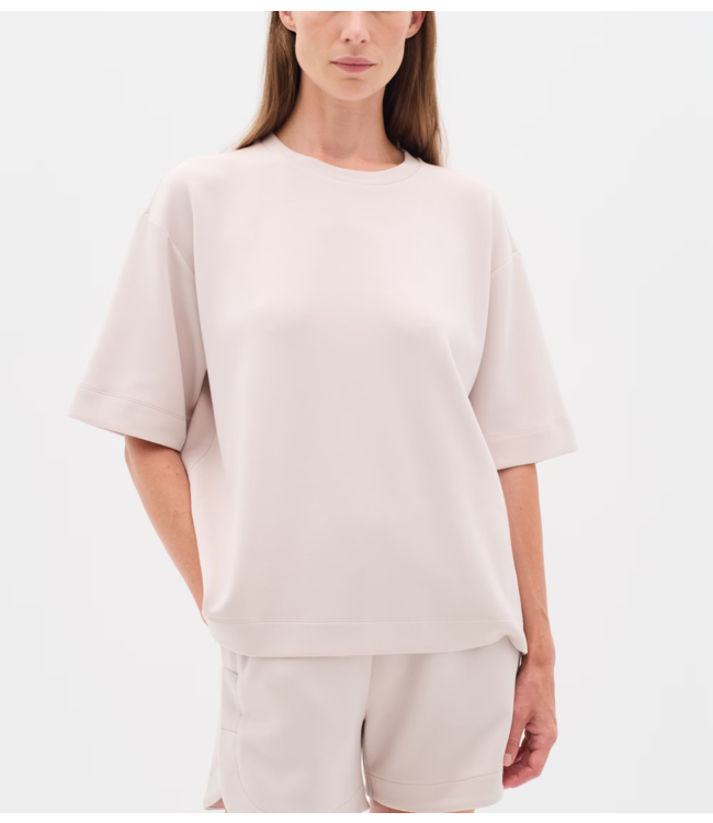 Inwear T-shirt PannieIW Oversize Tshirt NOOS Haze