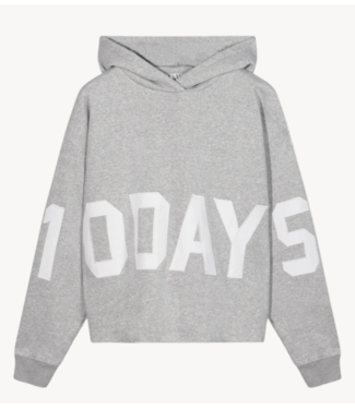 10DAYS Trui the statement logo hoodie 10DAYS365 light grey melee
