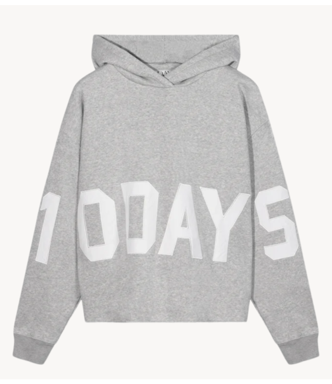 10DAYS Trui the statement logo hoodie 10DAYS365 light grey melee