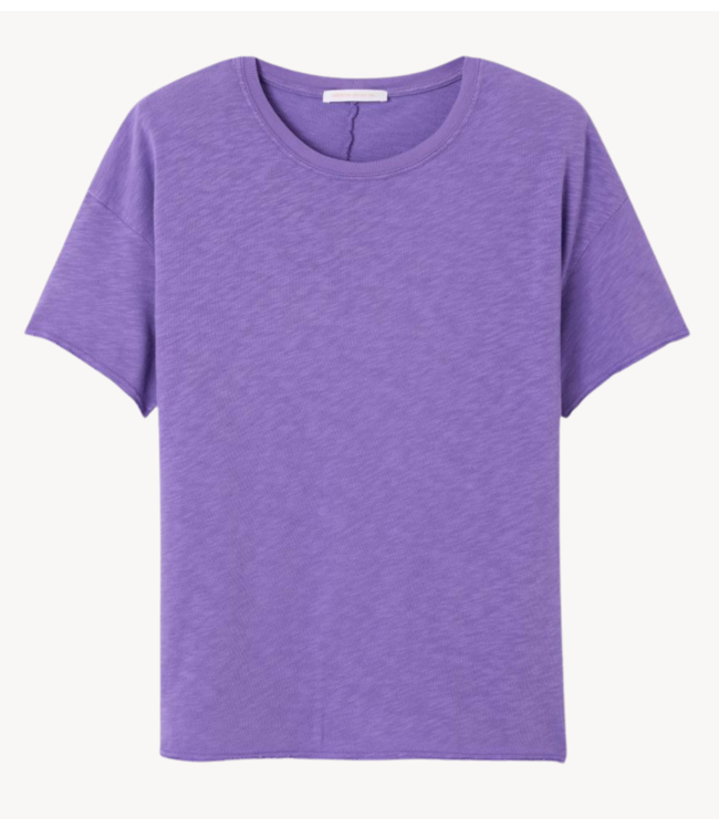 American Vintage T-shirt Sonoma purple vintage
