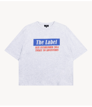 Alix The Label T-Shirt ladies knitted ticket to adventures T-shirt light grey melange