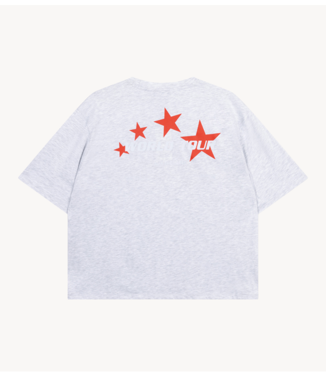 Alix The Label T-Shirt ladies knitted ticket to adventures T-shirt light grey melange