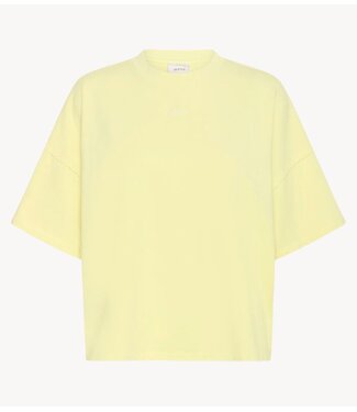 Gestuz T-shirt GZjio tee luminary washed