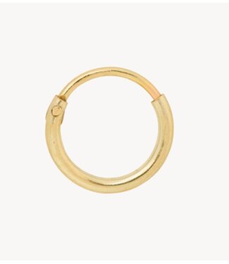 Anna+Nina Oorbel single plain ring earring XS 9mm silver goldplated essential