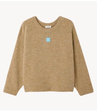 American Vintage Trui EAST SABLE CHINE