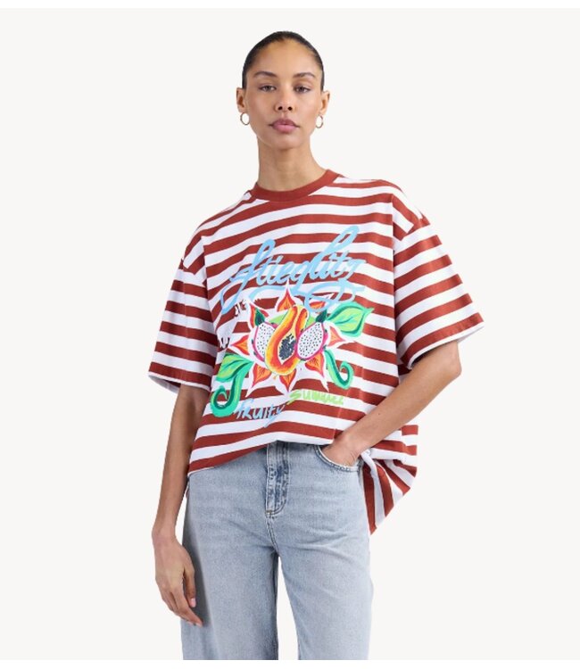 Stieglitz T-shirt Jovita Oversized T-shirt Brown