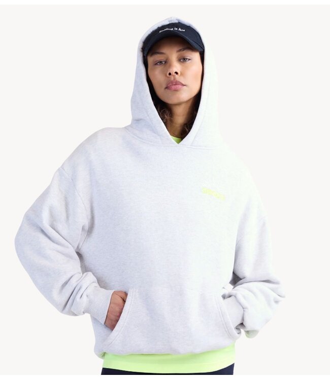 Stieglitz Trui Guga Hoodie grey