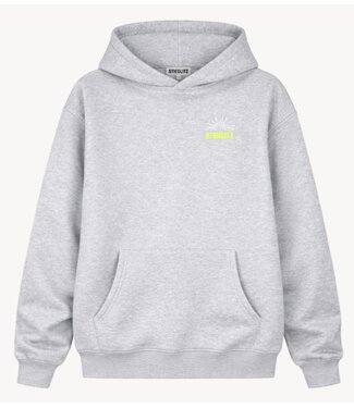 Stieglitz Trui Guga Hoodie grey
