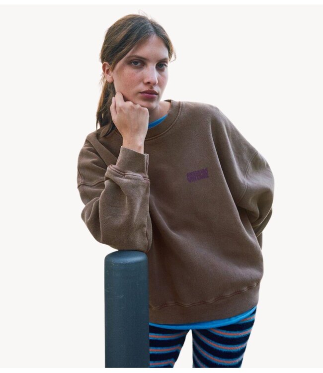 American Vintage Trui PLIZZY CHATAIGNIER VINTAGE