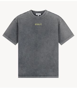 Stieglitz T-shirt Fryda Oversized T-shirt Grey