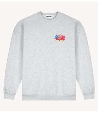 Stieglitz Trui Glenda Sweater 	Melange grey