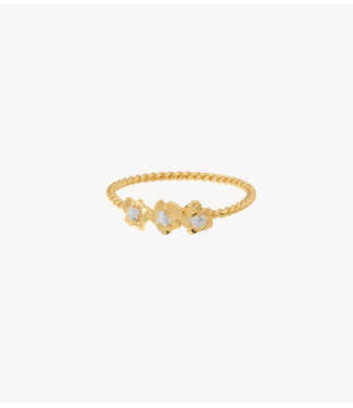 Anna+Nina Ring Fiorita Ring Gold Plated