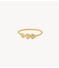 Anna+Nina Ring Fiorita Ring Gold Plated