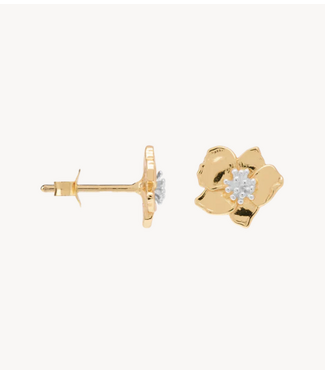 Anna+Nina Oorbel Single Fiorita Stud Gold plated