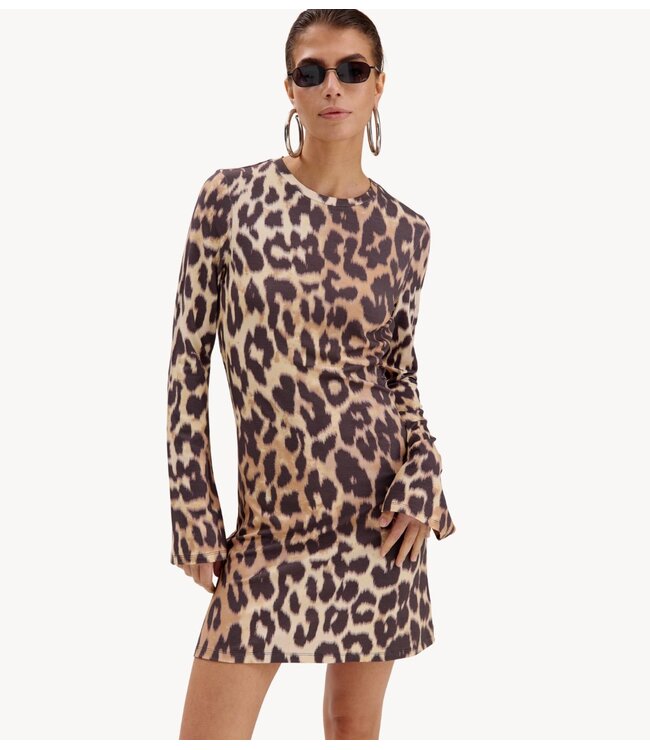 HARPER & YVE Jurk JOLIE-DR LEXIE LEOPARD LIGHT
