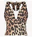HARPER & YVE Top MORRIS-SS LEXIE LEOPARD LIGHT