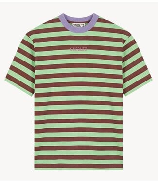 Stieglitz T-shirt Joana Regular T-shirt Green