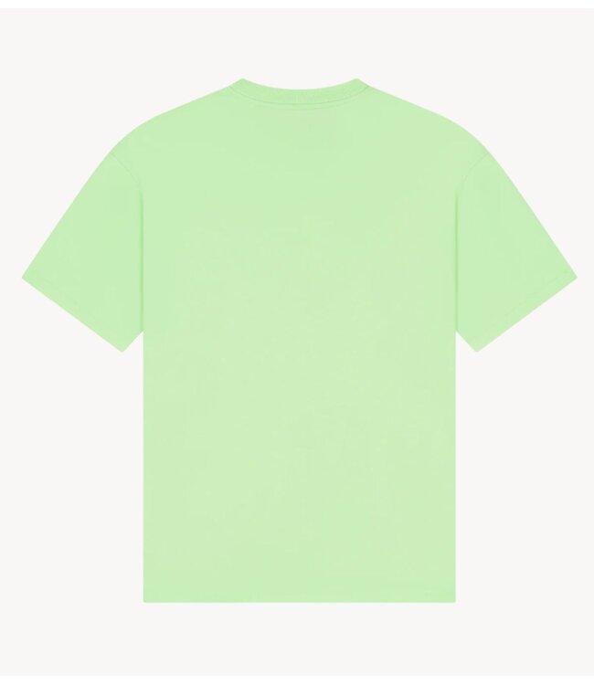 Stieglitz T-shirt Philo Oversized T-shirt Green
