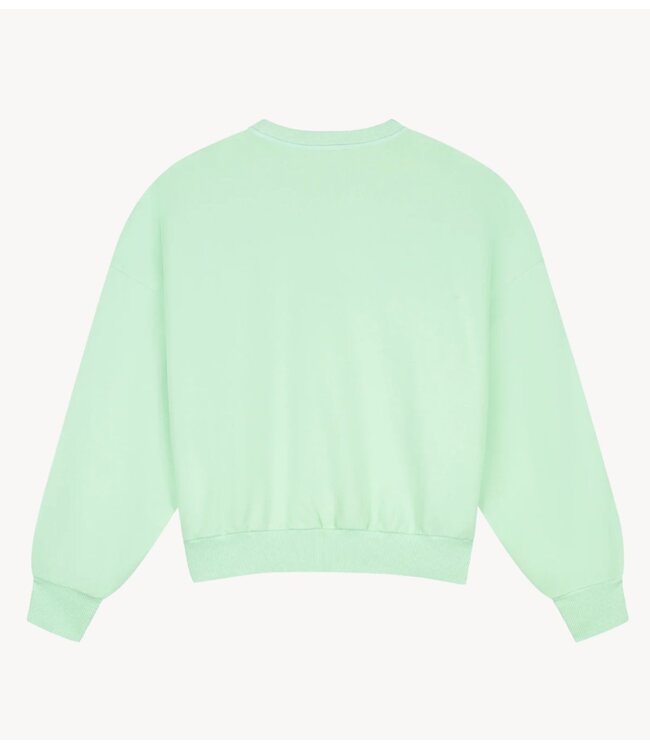 Stieglitz Trui Novia Oversized Sweater  Green