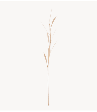 Tak Planta Olive 8 petals