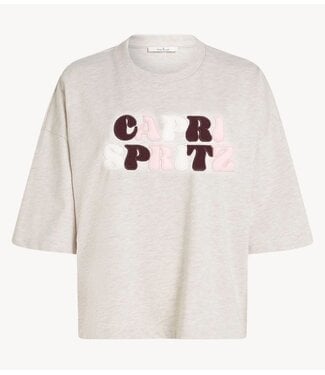 Circle of Trust Top RANE TOP  Beige melange