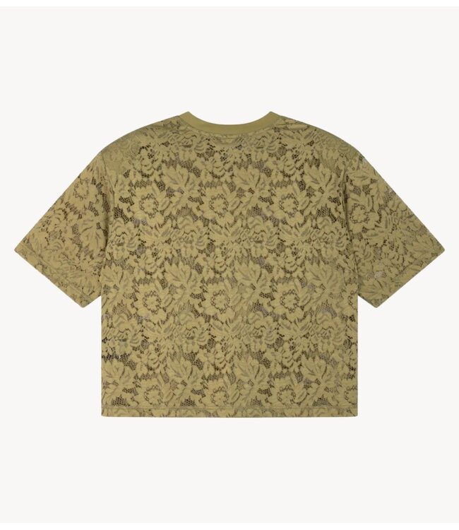 Refined Department Top ladies knitted cropped lace t-shirt ANGIE army