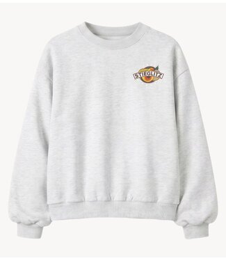 Stieglitz Trui Cindy Oversized Sweater Grey