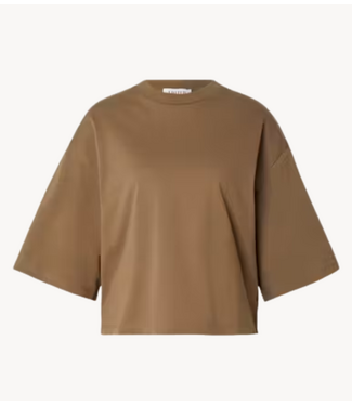 EDITED T-shirt Enzo T-Shirt Brown