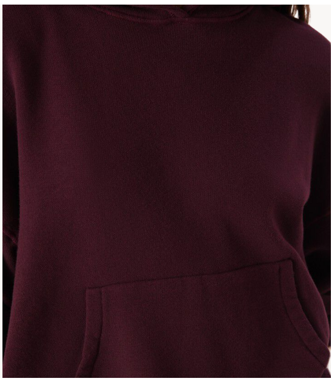 American Vintage Trui ATUBAY hoodie LIE DE VIN