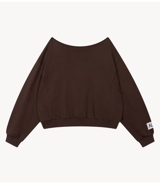 Alix The Label Trui ladies knitted badwing sweater warm brown