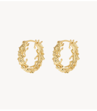 Anna+Nina Oorbel Froggies Hoop Earrings Gold Plated