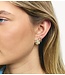 Anna+Nina Oorbel Enchanted Froggies Studs Gold Plated