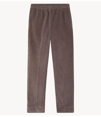 American Vintage Broek Padow carotte cendre