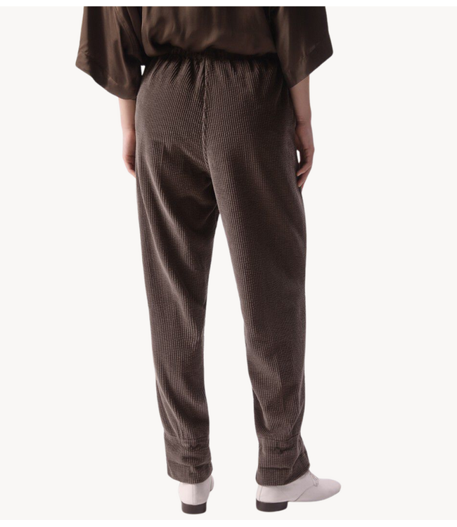 American Vintage Broek Padow carotte cendre
