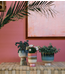 HKLIVING Retro Bloempot Lagoon