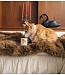 Anna+Nina Mok Labradoodle Mug multicolour