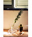 HKLIVING Vaas Carafe glass vase, clear