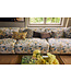 HKLIVING Kussen Printed cushion, brown ink (60x35cm)