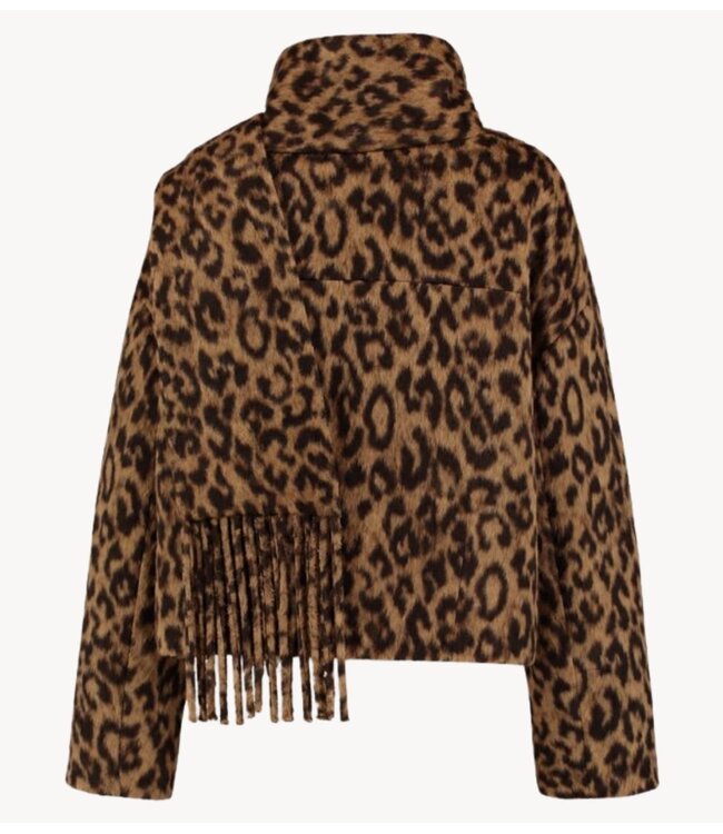 HARPER & YVE Jas KISHA-JA WILD LEXIE LEOPARD