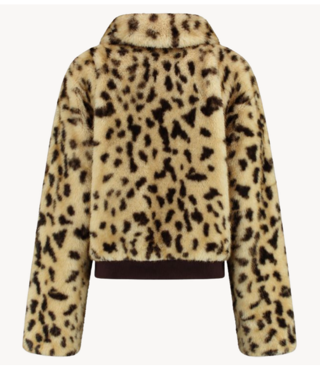 HARPER & YVE Jas STACY-JA WILD LEXIE LEOPARD