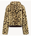 HARPER & YVE Jas STACY-JA WILD LEXIE LEOPARD
