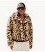 HARPER & YVE Jas STACY-JA WILD LEXIE LEOPARD