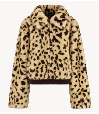 HARPER & YVE Jas STACY-JA WILD LEXIE LEOPARD