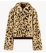 HARPER & YVE Jas STACY-JA WILD LEXIE LEOPARD